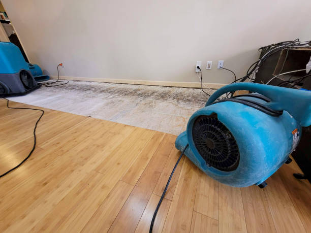 Reliable Basement Flood Cleanup contractor in Castro Valley, CA by Hirex Water Damage