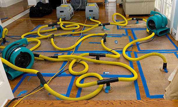 Professional Basement Flood Cleanup technician working in Castro Valley, CA